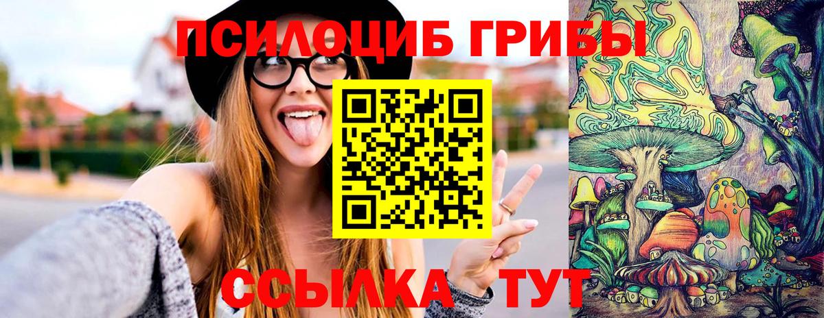 Псилоцибиновые грибы Cubensis Красногорск